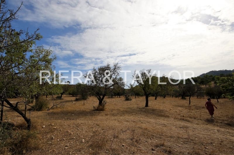 Finca/Herregård til salgs i Sant Llorenc des Cardassar - € 85 000 (Ref: 3621845)