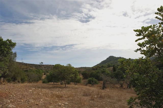 Finca/Landhuis te koop in Sant Llorenç des Cardassar - € 80.000 (Ref: 3621845)