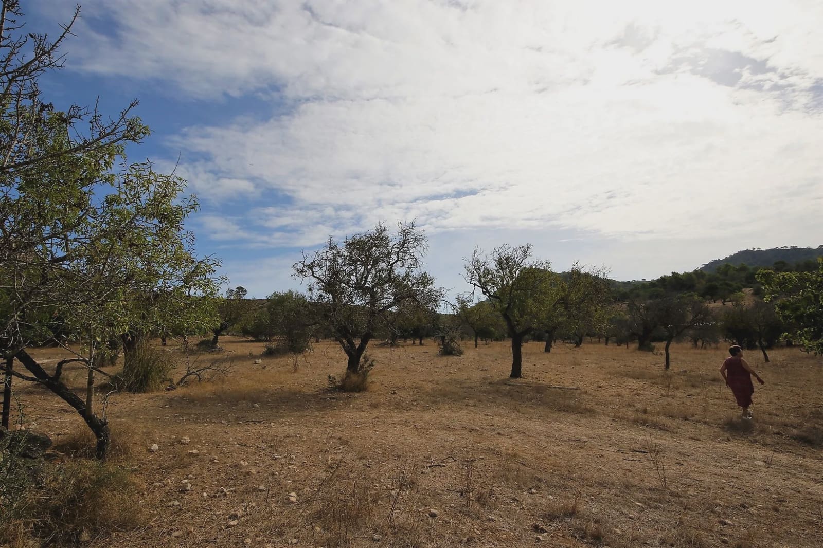 Finca/Landhuis te koop in Sant Llorenc des Cardassar - € 80.000 (Ref: 3621845)