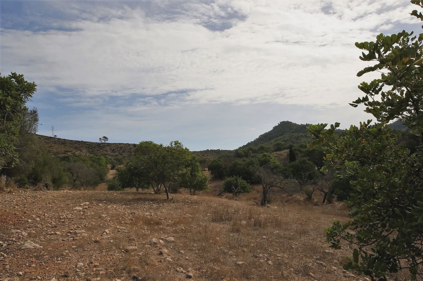 Finca/Landhuis te koop in Sant Llorenc des Cardassar - € 80.000 (Ref: 3621845)