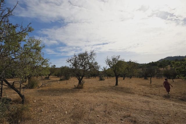 Finca/Landhuis te koop in Sant Llorenç des Cardassar - € 80.000 (Ref: 3621845)
