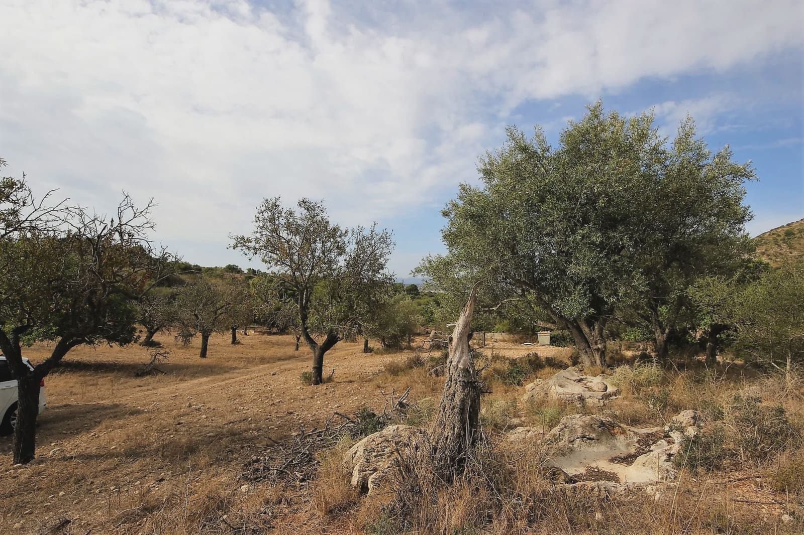 Finca/Landhuis te koop in Sant Llorenc des Cardassar - € 80.000 (Ref: 3621845)