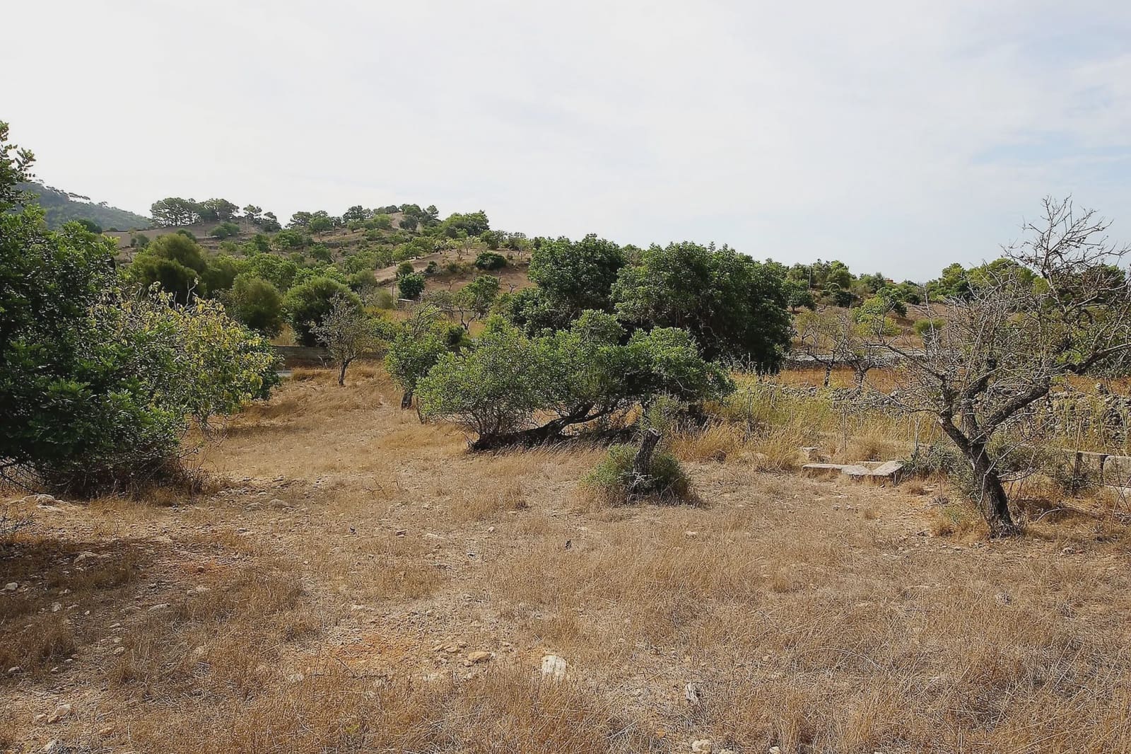 Finca/Landhuis te koop in Sant Llorenc des Cardassar - € 80.000 (Ref: 3621845)