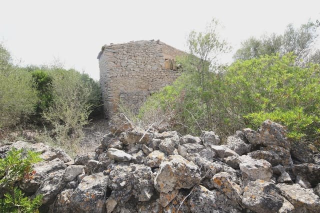 Finca/Maison de Campagne à vendre à Son Servera - 500 000 € (Ref: 3621886)