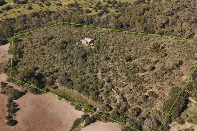 Finca/Maison de Campagne à vendre à Son Servera - 500 000 € (Ref: 3621886)