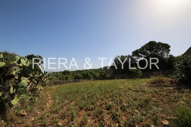 4 soverom Finca/Herregård til salgs i Manacor - € 690 000 (Ref: 3621921)