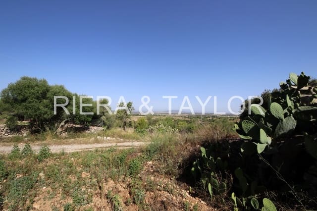 4 soverom Finca/Herregård til salgs i Manacor - € 690 000 (Ref: 3621921)