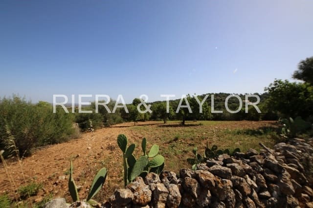 4 soverom Finca/Herregård til salgs i Manacor - € 690 000 (Ref: 3621921)