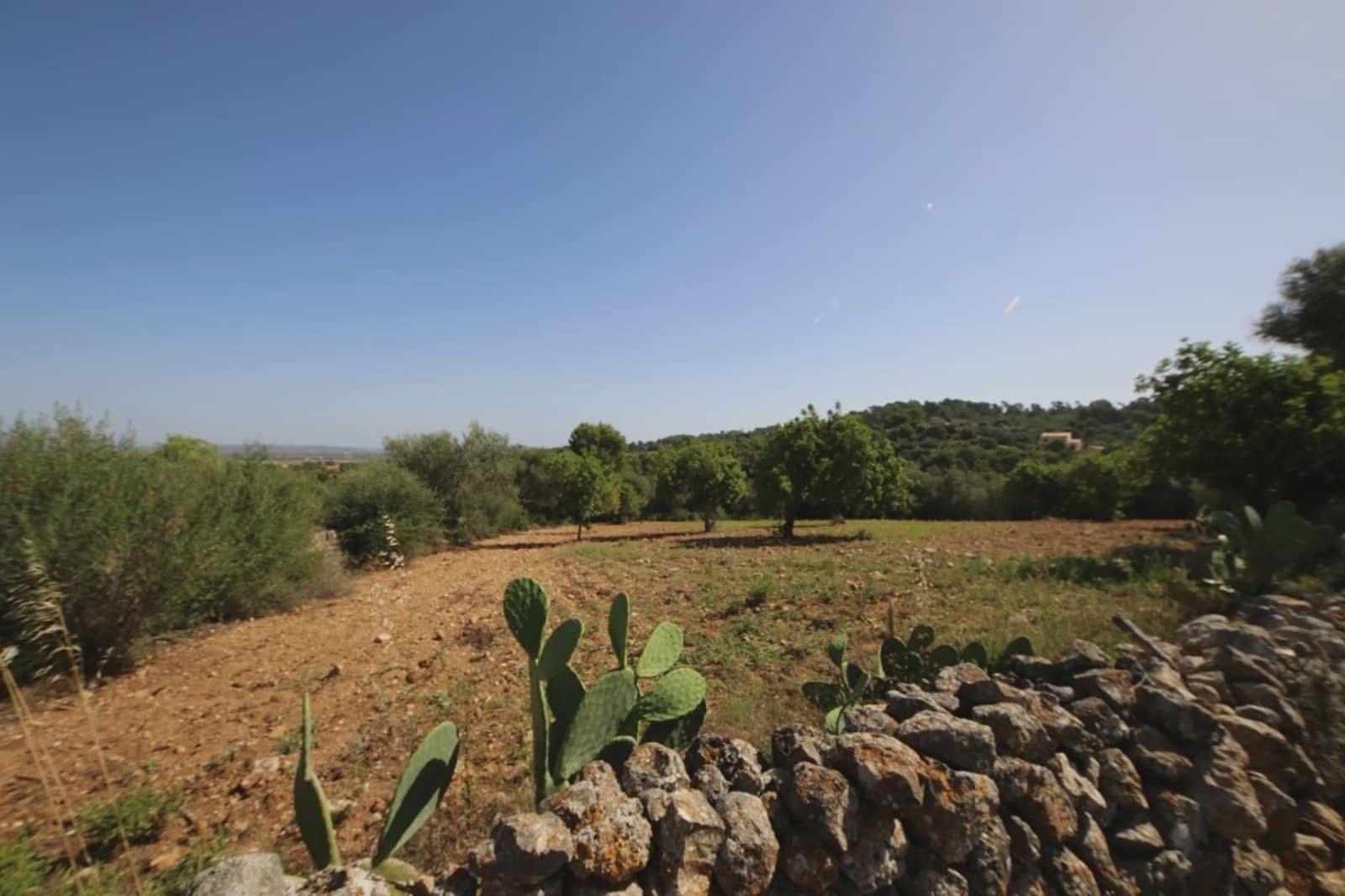 Finca/Casa Rural de 4 habitaciones en Manacor en venta - 800.000 € (Ref: 3621921)