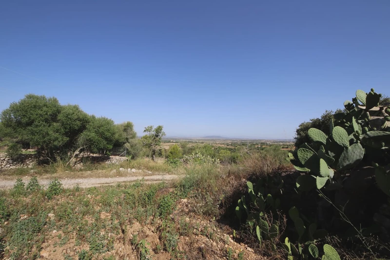 Finca/Casa Rural de 4 habitaciones en Manacor en venta - 800.000 € (Ref: 3621921)