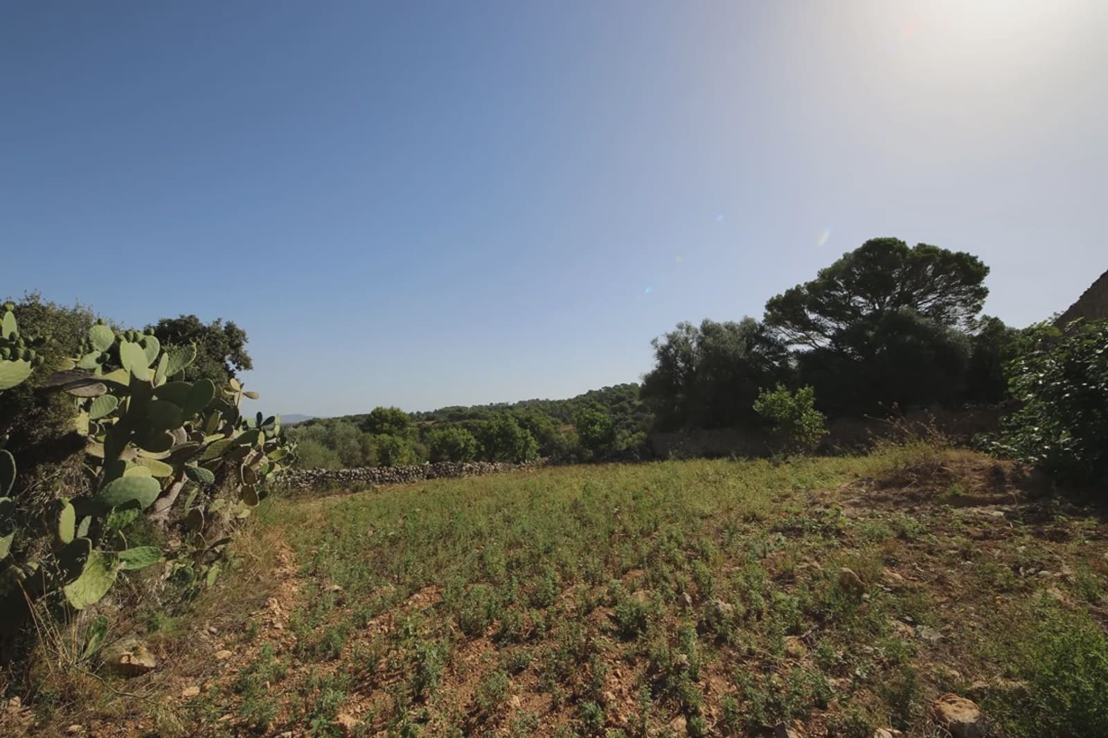 Finca/Casa Rural de 4 habitaciones en Manacor en venta - 800.000 € (Ref: 3621921)