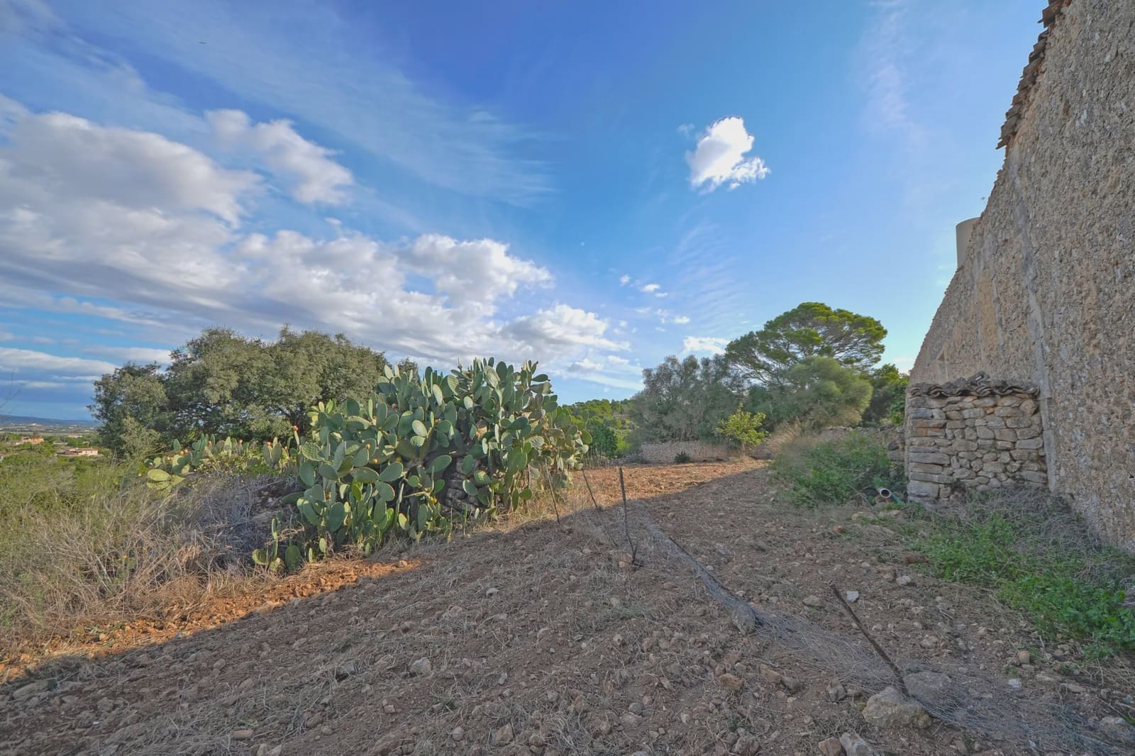 Finca/Casa Rural de 4 habitaciones en Manacor en venta - 800.000 € (Ref: 3621921)