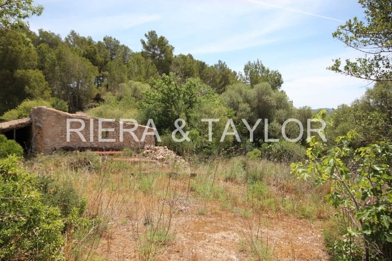 Finka/Dom wiejski na sprzedaż w Felanitx - 1 275 000 € (Ref: 3622115)