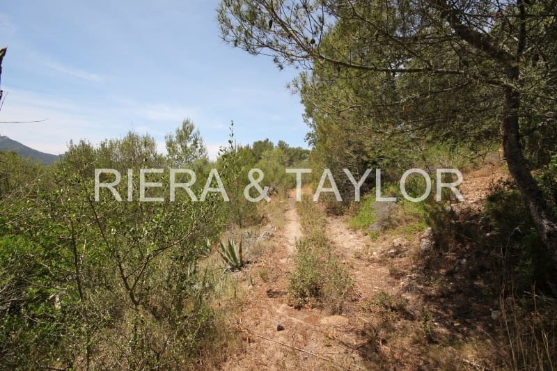 Finka/Dom wiejski na sprzedaż w Felanitx - 1 275 000 € (Ref: 3622115)