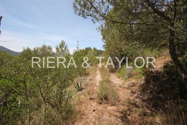 Finka/Dom wiejski na sprzedaż w Felanitx - 1 275 000 € (Ref: 3622115)