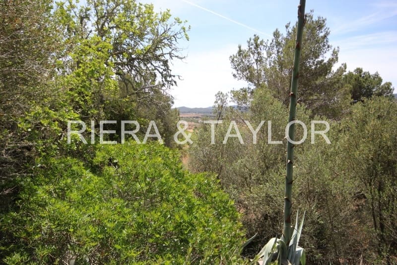 Finka/Dom wiejski na sprzedaż w Felanitx - 1 275 000 € (Ref: 3622115)