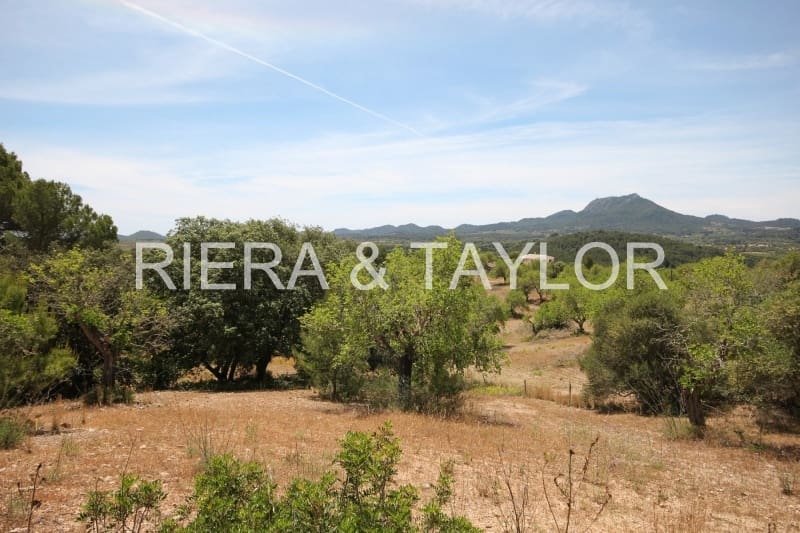 Finka/Dom wiejski na sprzedaż w Felanitx - 1 275 000 € (Ref: 3622115)