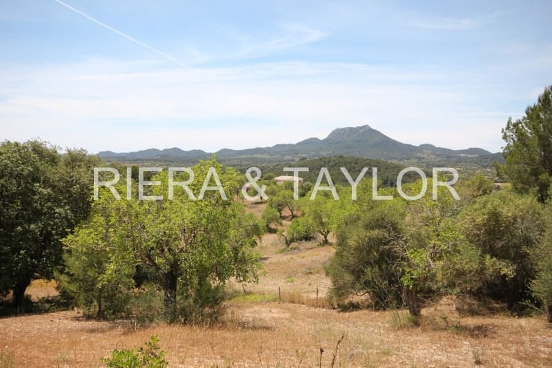 Finka/Dom wiejski na sprzedaż w Felanitx - 1 275 000 € (Ref: 3622115)