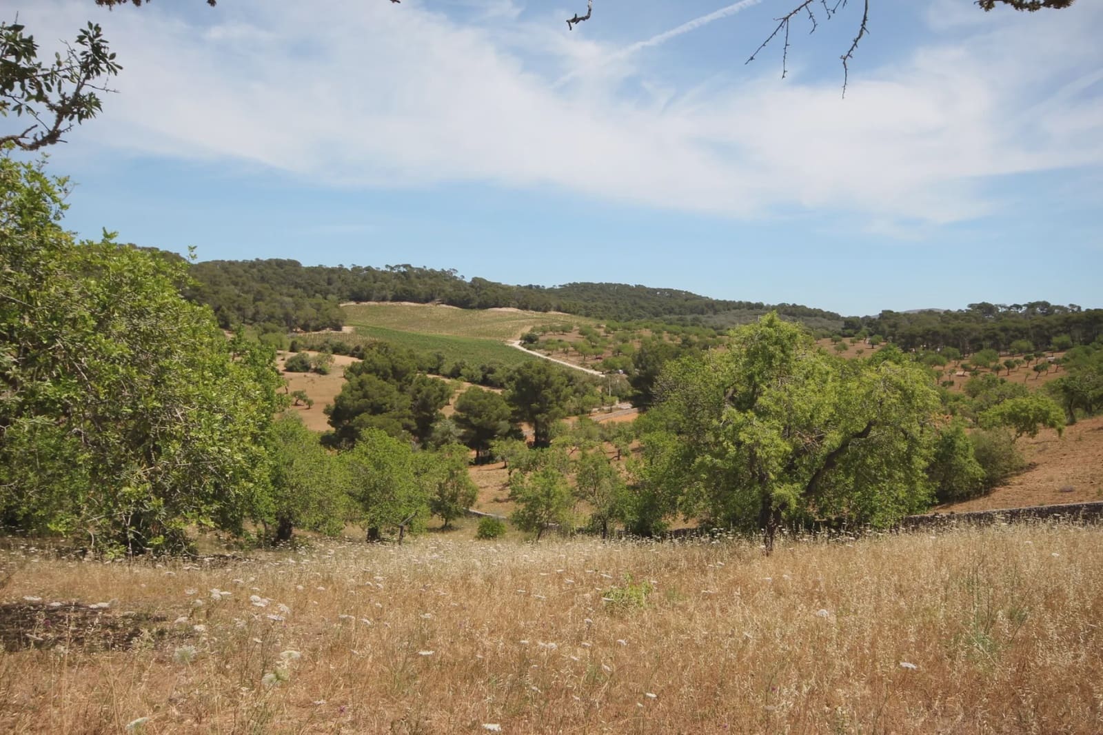 Finca/Country House for sale in Felanitx - € 1,275,000 (Ref: 3622115)