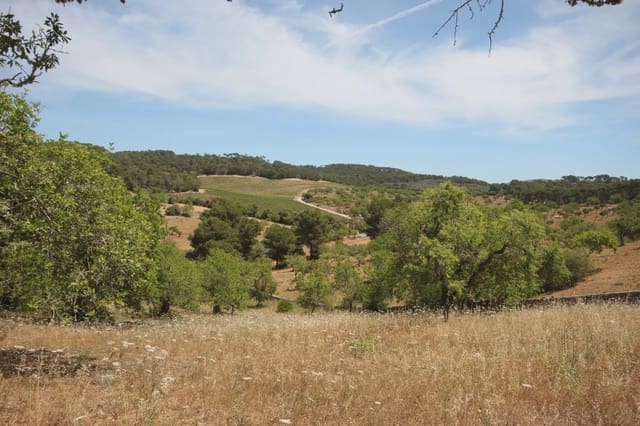 Quinta/Casa Rural para venda em Felanitx - 1 275 000 € (Ref: 3622115)