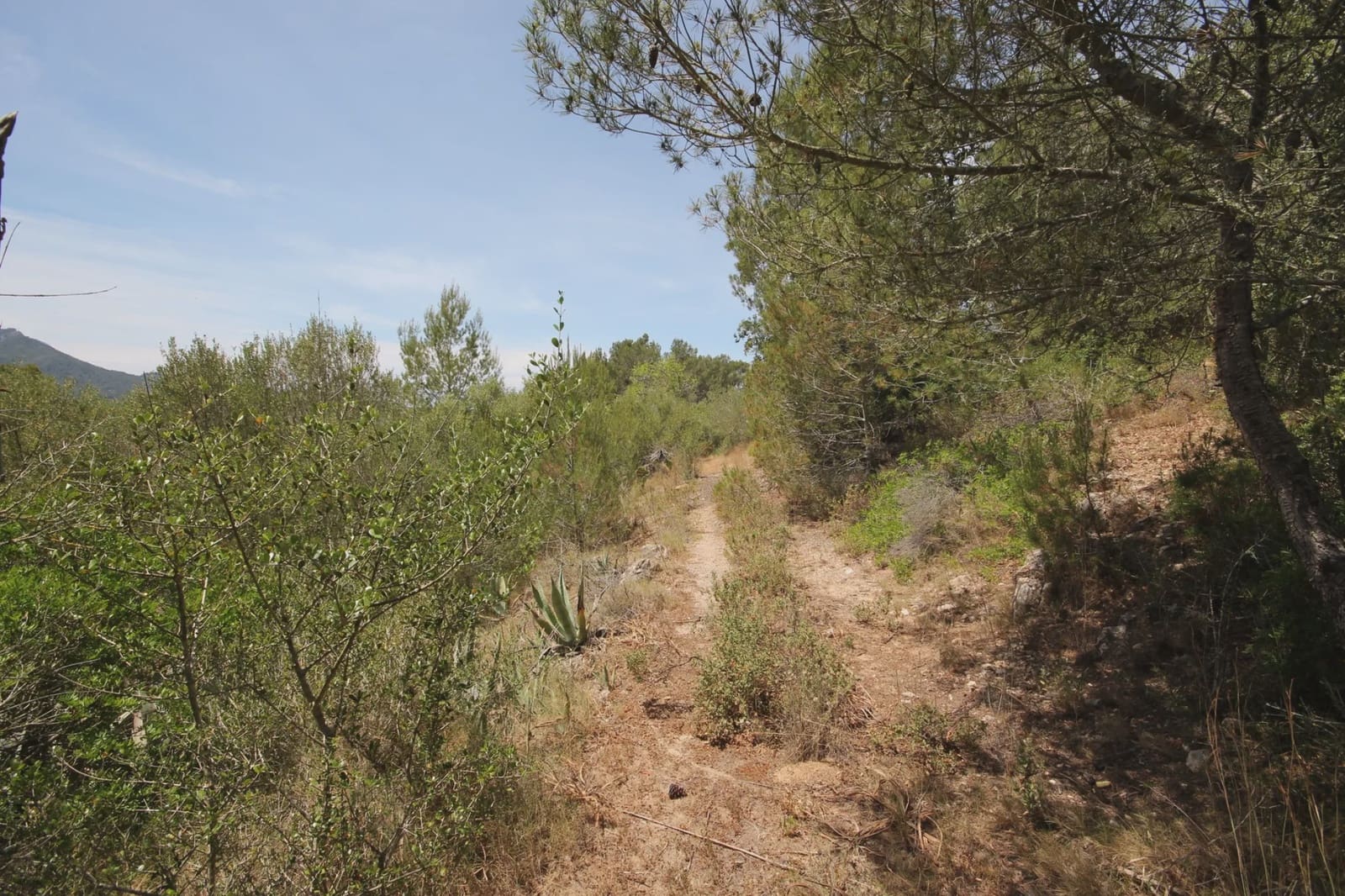 Finca/Country House for sale in Felanitx - € 1,275,000 (Ref: 3622115)