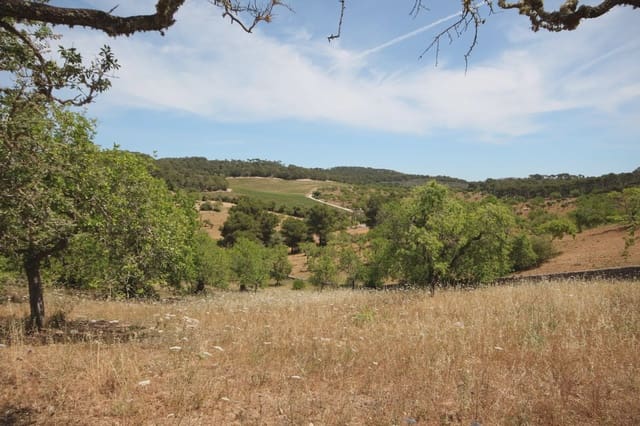 Quinta/Casa Rural para venda em Felanitx - 1 275 000 € (Ref: 3622115)