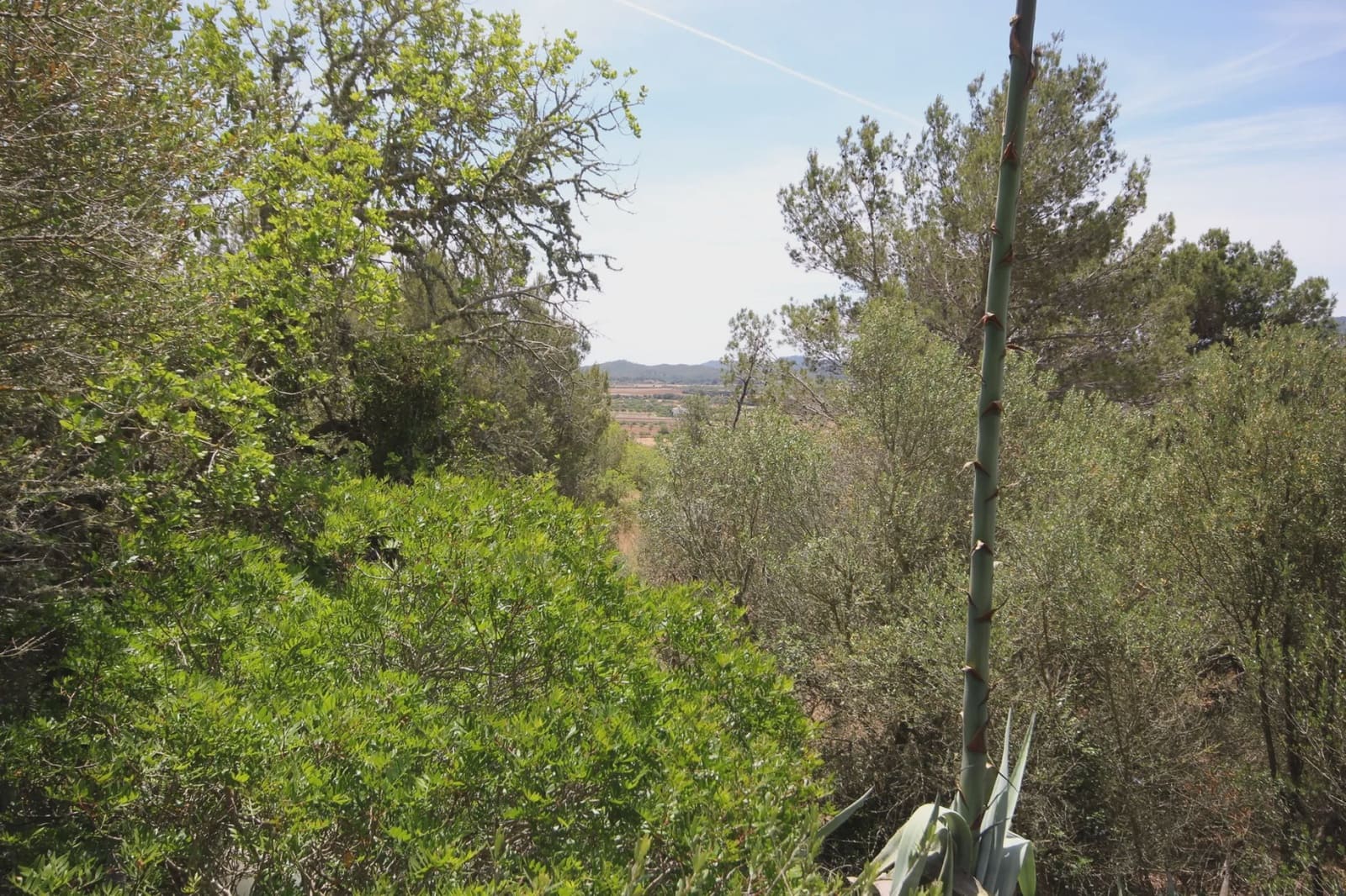 Finca/Country House for sale in Felanitx - € 1,275,000 (Ref: 3622115)