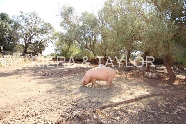 Finca/Casa di Campagna in vendita in Vilafranca de Bonany - 2.300.000 € (Rif: 3622150)