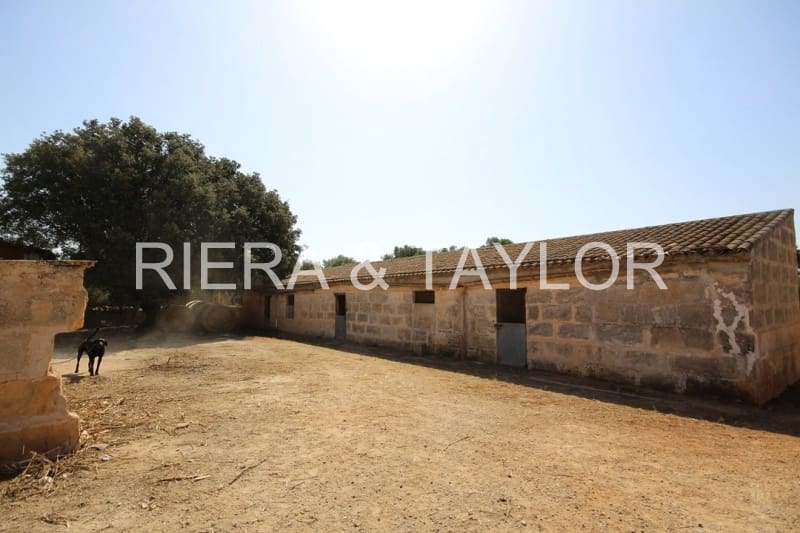 Finca/Country House for sale in Vilafranca de Bonany - € 2,300,000 (Ref: 3622150)