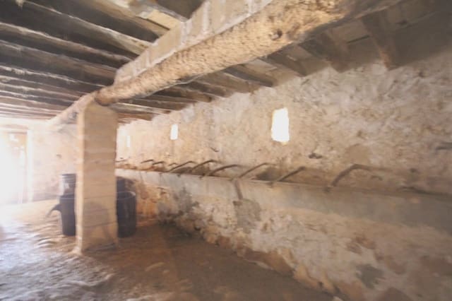 Finka/Dom wiejski na sprzedaż w Vilafranca de Bonany - 2 300 000 € (Ref: 3622150)