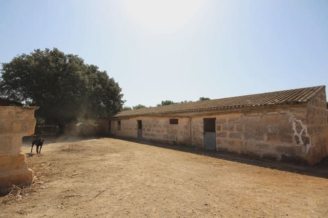 Finka/Dom wiejski na sprzedaż w Vilafranca de Bonany - 2 300 000 € (Ref: 3622150)