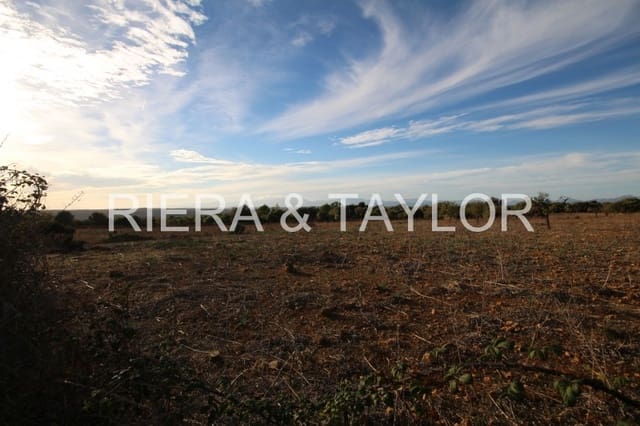 Rakentamaton maa myytävänä paikassa Manacor - 750 000 € (Ref: 3647180)