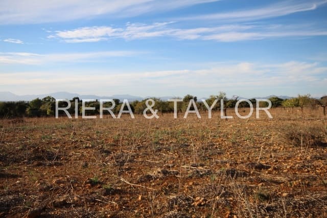 Rakentamaton maa myytävänä paikassa Manacor - 750 000 € (Ref: 3647180)