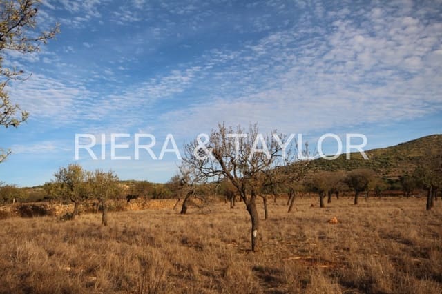 Rakentamaton maa myytävänä paikassa Manacor - 750 000 € (Ref: 3647180)