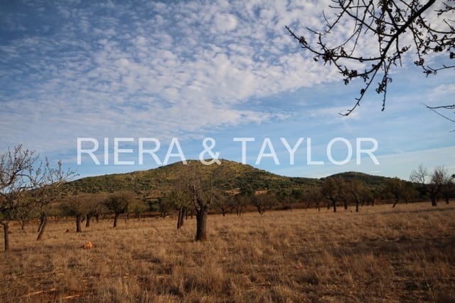 Rakentamaton maa myytävänä paikassa Manacor - 750 000 € (Ref: 3647180)