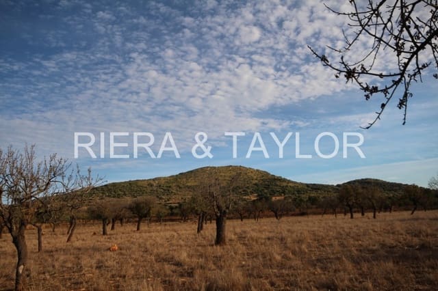 Rakentamaton maa myytävänä paikassa Manacor - 750 000 € (Ref: 3647180)