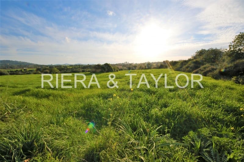 Mark till salu i Manacor - 139 438 € (Ref: 3952629)