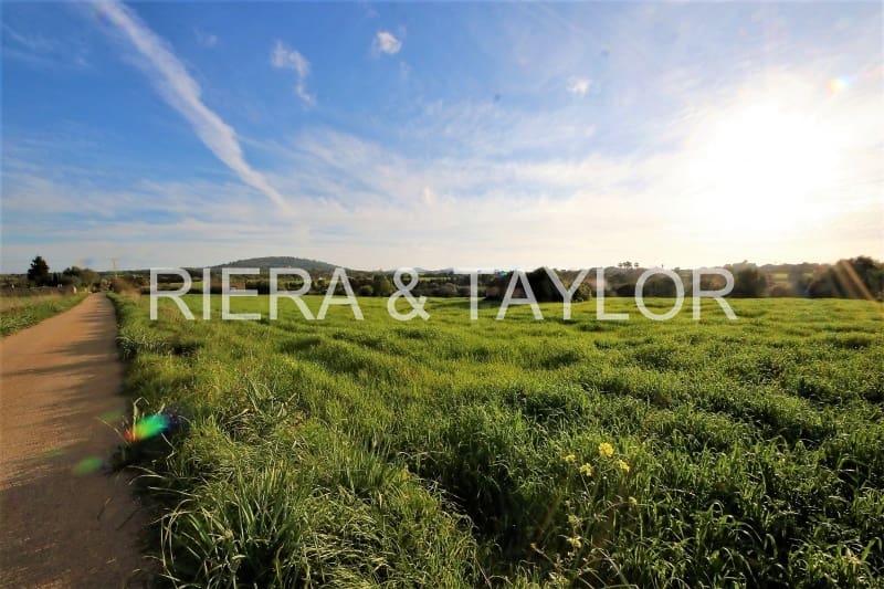 Mark till salu i Manacor - 139 438 € (Ref: 3952629)