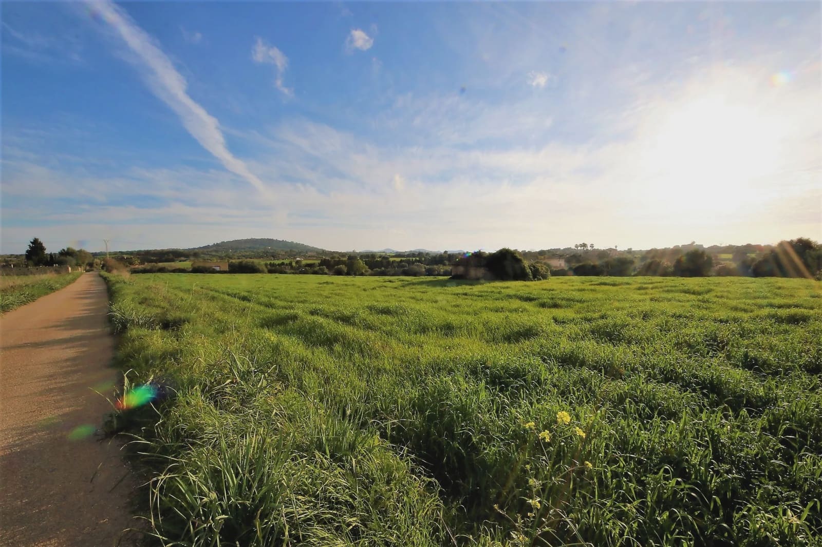 Undeveloped Land for sale in Manacor - € 139,438 (Ref: 3952629)