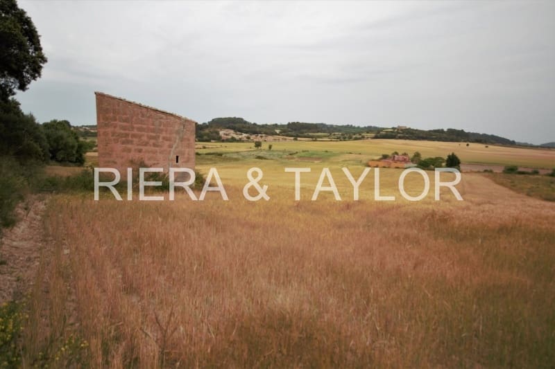 Finca/Country House for sale in Montuiri - € 248,000 (Ref: 5488692)