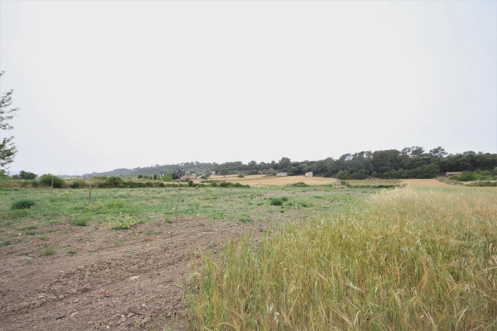 Finca/Country House for sale in Montuiri - € 248,000 (Ref: 5488692)