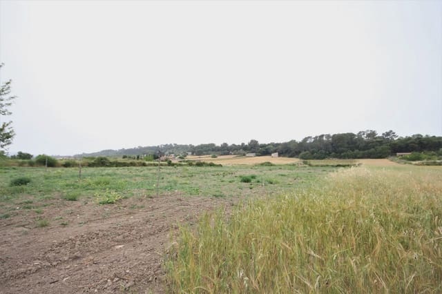 Finca/Landhuis te koop in Montuïri - € 248.000 (Ref: 5488692)