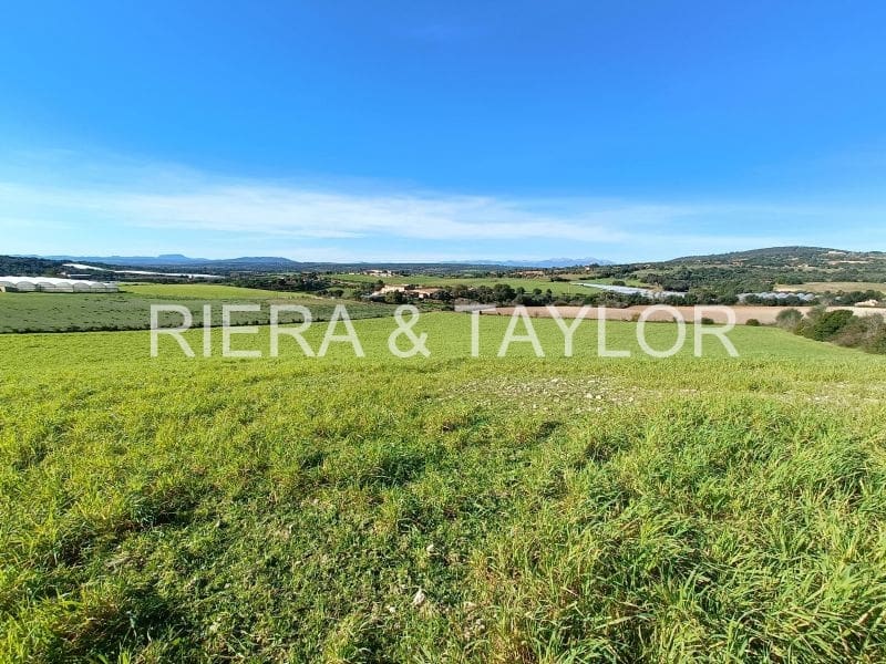 Rakentamaton maa myytävänä paikassa Manacor - 280 000 € (Ref: 5488698)