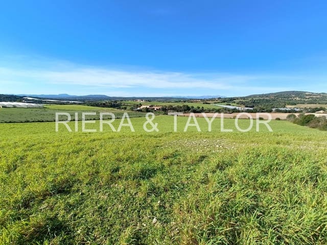 Grond te koop in Manacor - € 280.000 (Ref: 5488698)