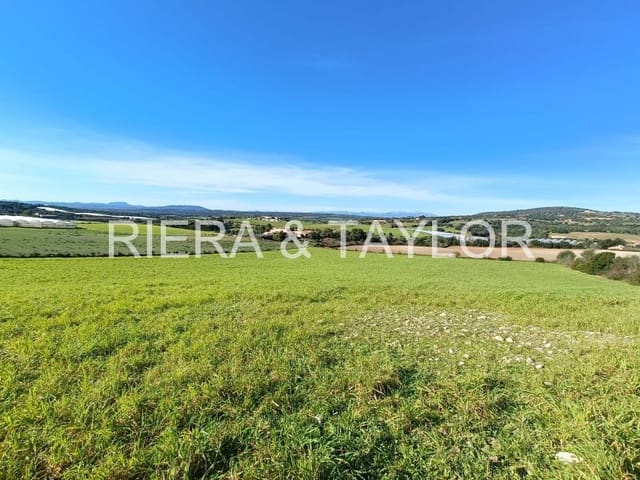 Grond te koop in Manacor - € 280.000 (Ref: 5488698)