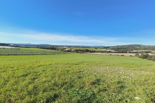 Grunde uden byggetilladelser til salg i Manacor - € 280.000 (Ref: 5488698)