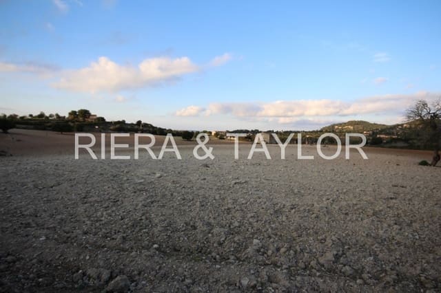 Ubebygd land til salgs i Manacor - € 170 000 (Ref: 5488734)