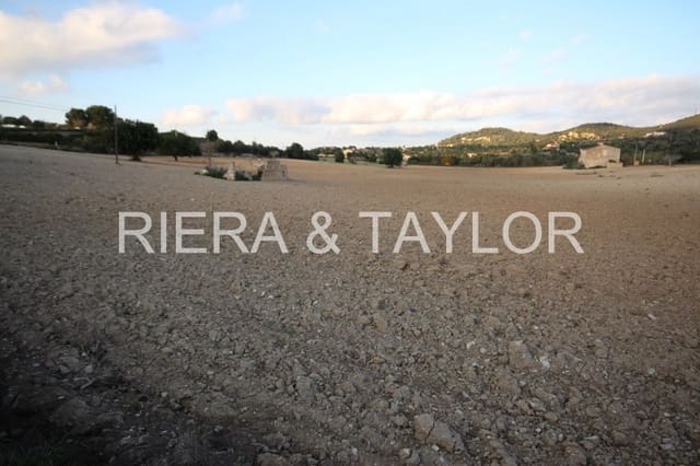 Ubebygd land til salgs i Manacor - € 170 000 (Ref: 5488734)