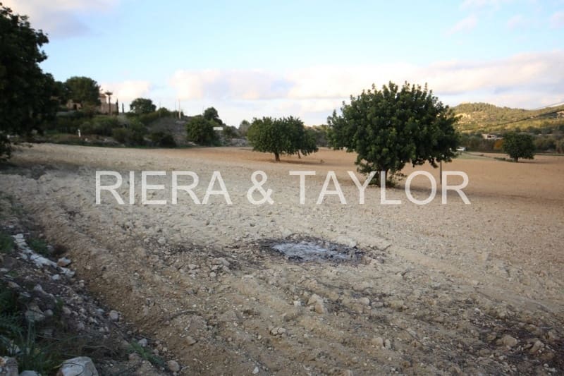 Ubebygd land til salgs i Manacor - € 170 000 (Ref: 5488734)