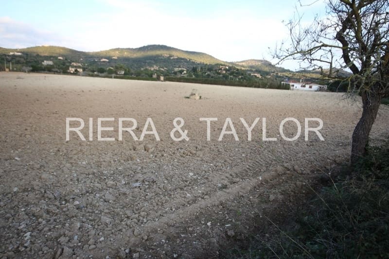 Ubebygd land til salgs i Manacor - € 170 000 (Ref: 5488734)